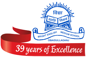 Bright English Medium Higher Secondary School logo